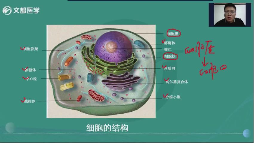 【文都医学】2023初级放射技士（104），网盘下载(11.91G)